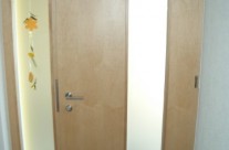 haustuer002